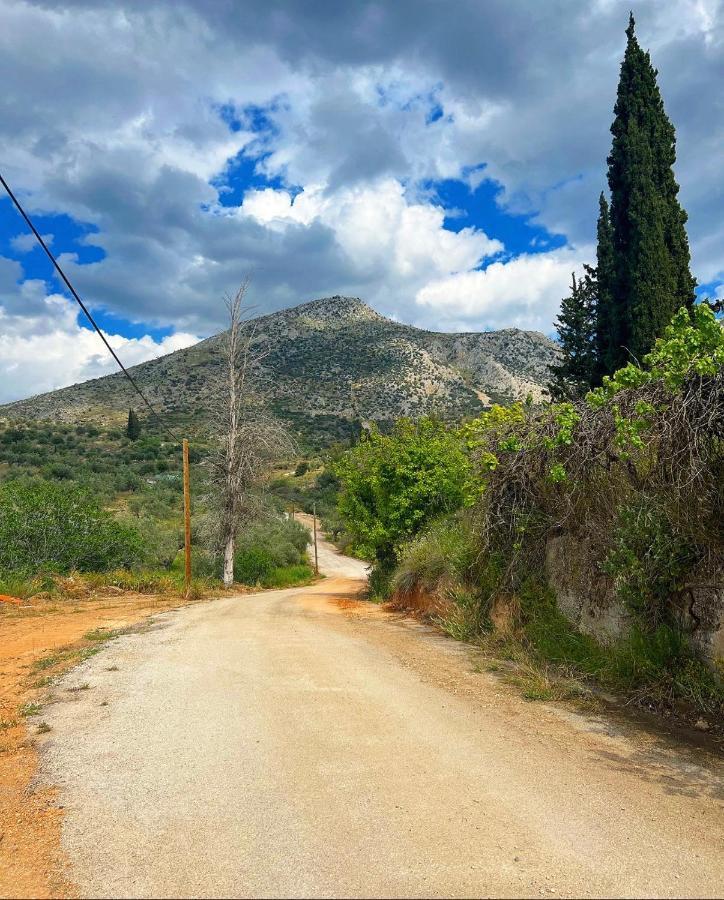 Sunny House At Ancient Mycenae, Close To Nafplio! Mykines Exterior foto